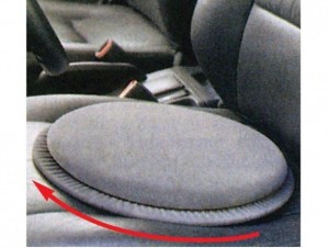 Swivel Cushion  