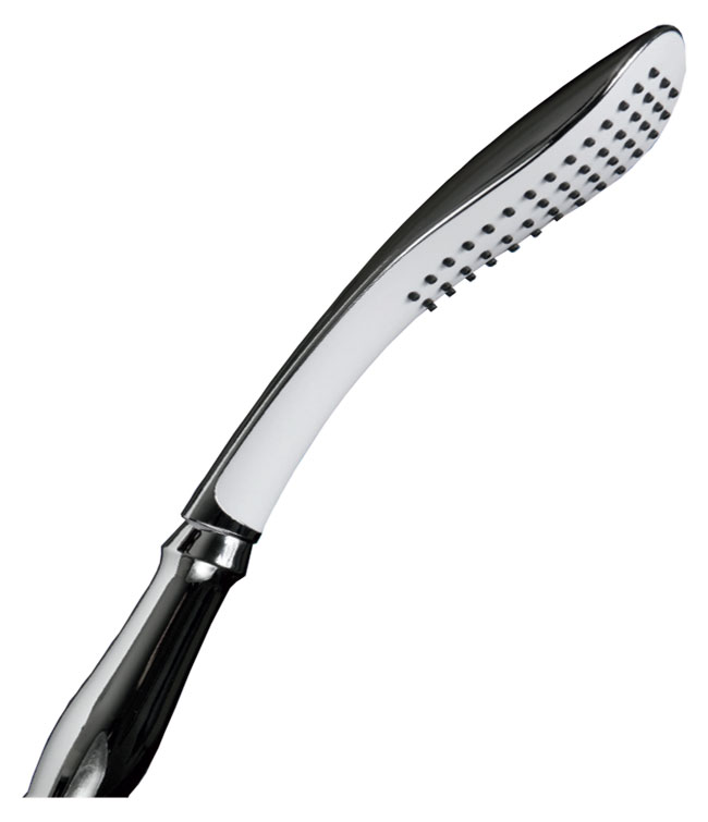 Adjustable Hand Held Shower Wand with Accessories