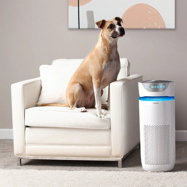 TotalClean® 5-in-1 UV-C Large Room Air Purifier