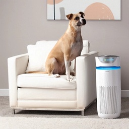[40000010060] TotalClean® 5-in-1 UV-C Large Room Air Purifier