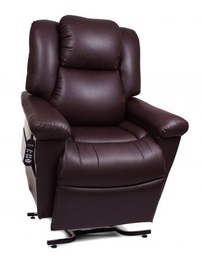 Golden DayDreamer Double Motor Lift Chair (with Power Lumbar &amp; Headrest)